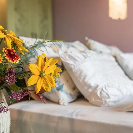 Hotel Boutique Casa Art Orešak