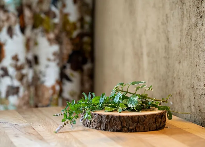 Boutique Casa Art 3* אורשאק