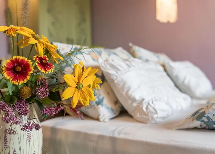 מלון Boutique Casa Art אורשאק