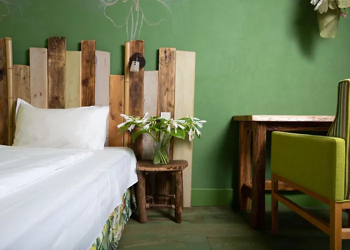 Boutique Casa Art מלון אורשאק